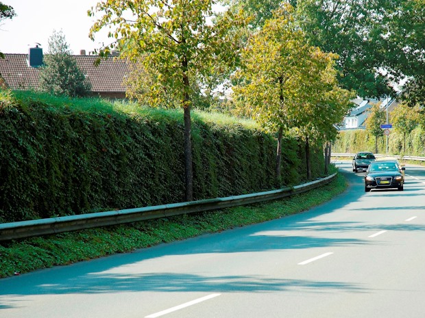 Planted Greenwall acoustic barrier at Park Vijfsluizen in Vlaardingen