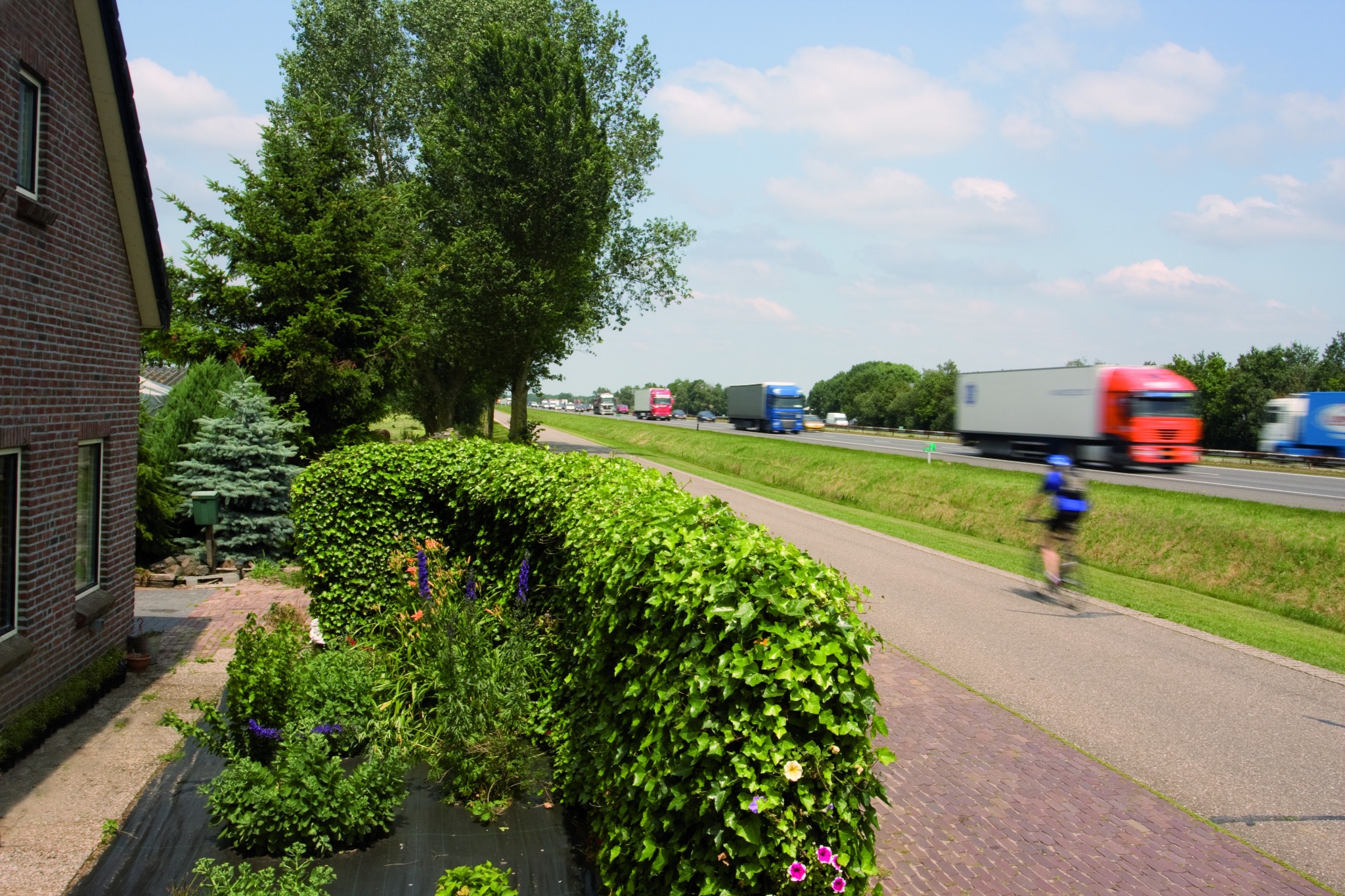 Greenwall Classic separating a home and garden from a busy dual carriageway
