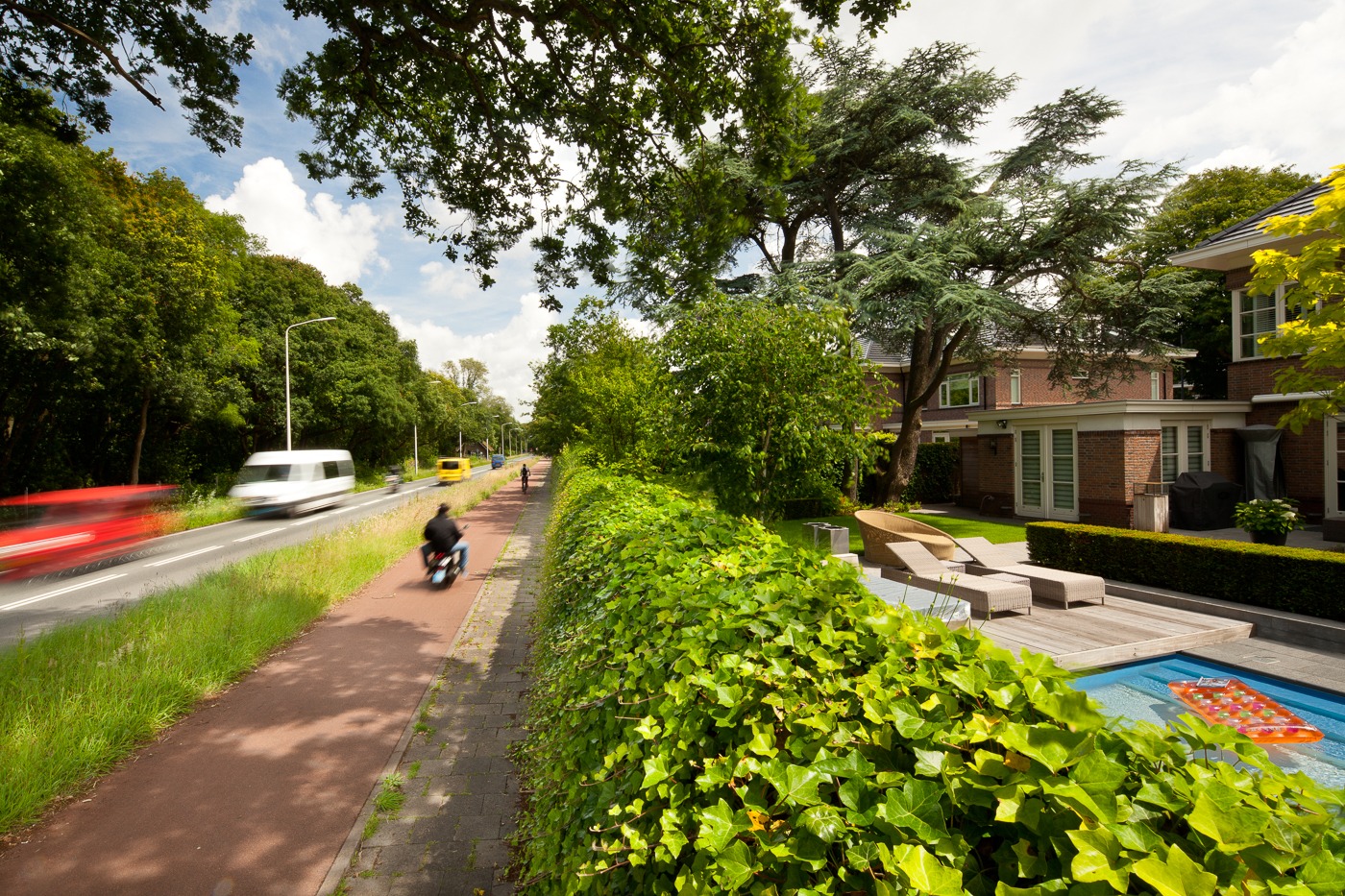 View across the planted top of Greenwall Classic beside a road and residential property