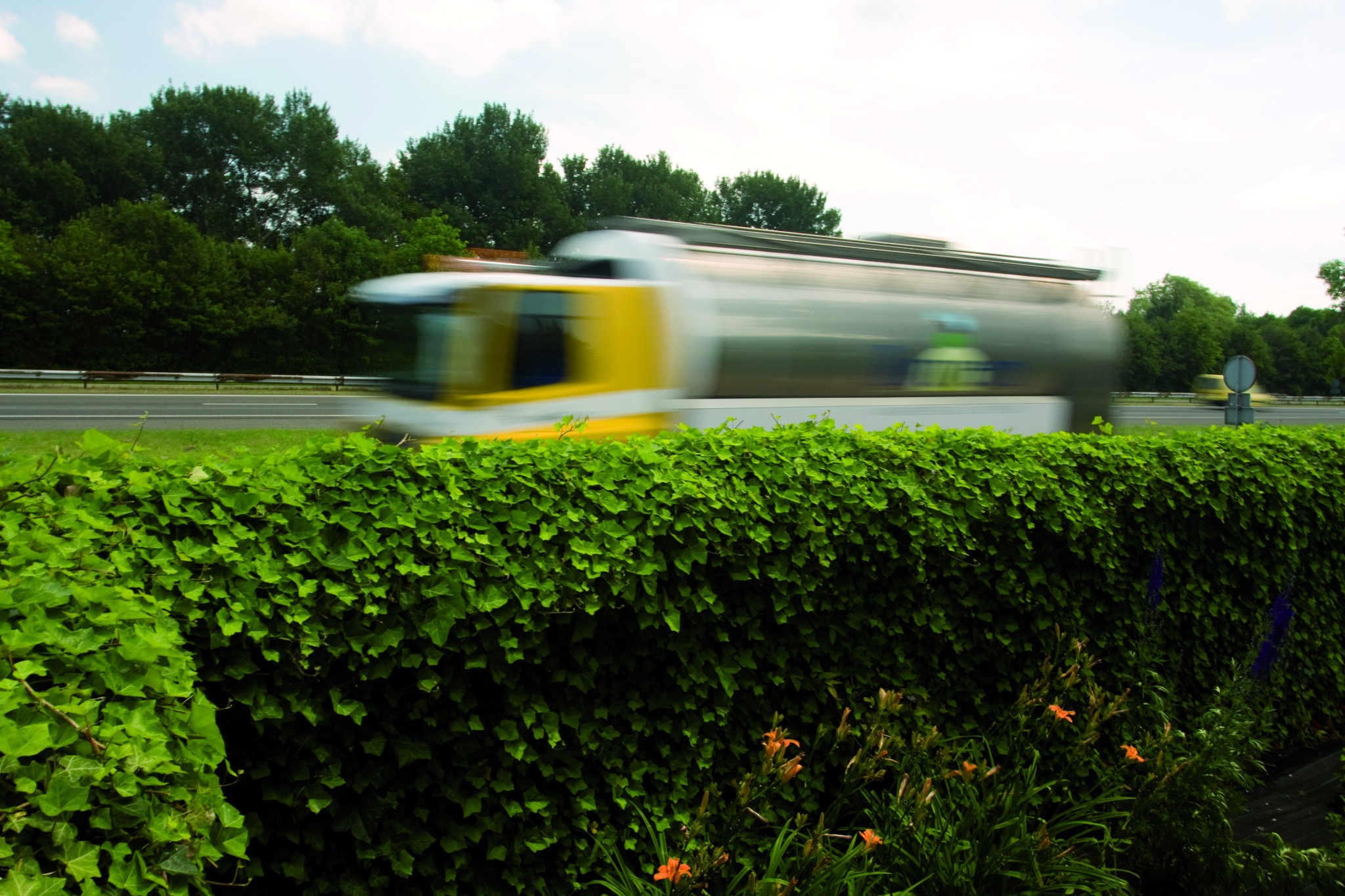 Lorry passing beyond the dense planted face of a Greenwall acoustic barrier