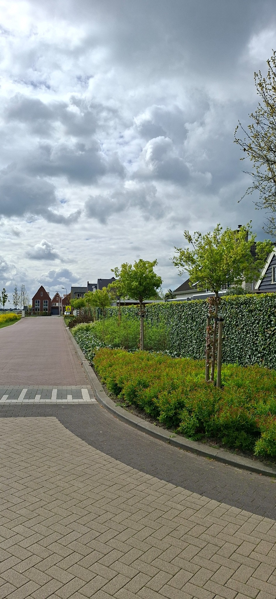 Portrait view along a green residential street with a planted Greenwall boundary