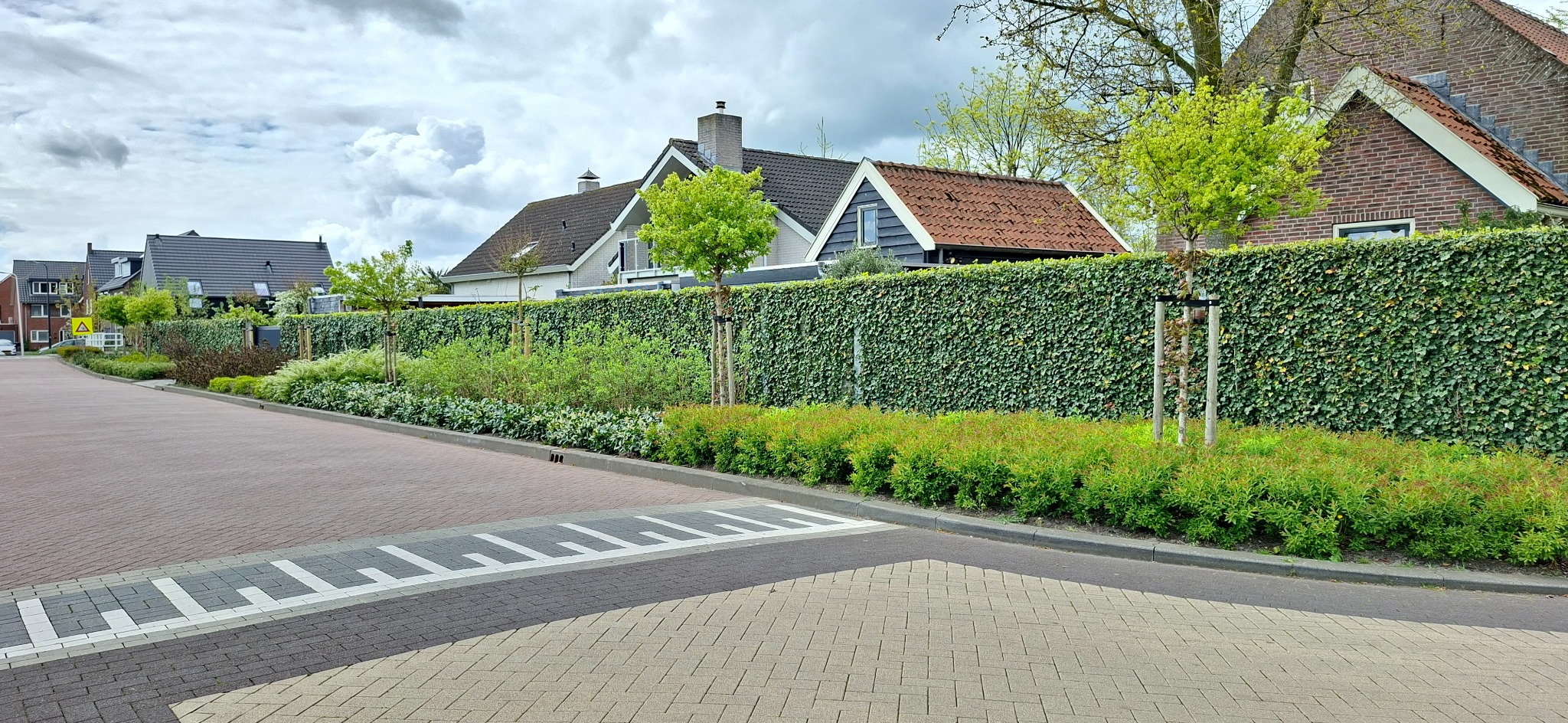 Long established Greenwall barrier integrated with planting on a residential street