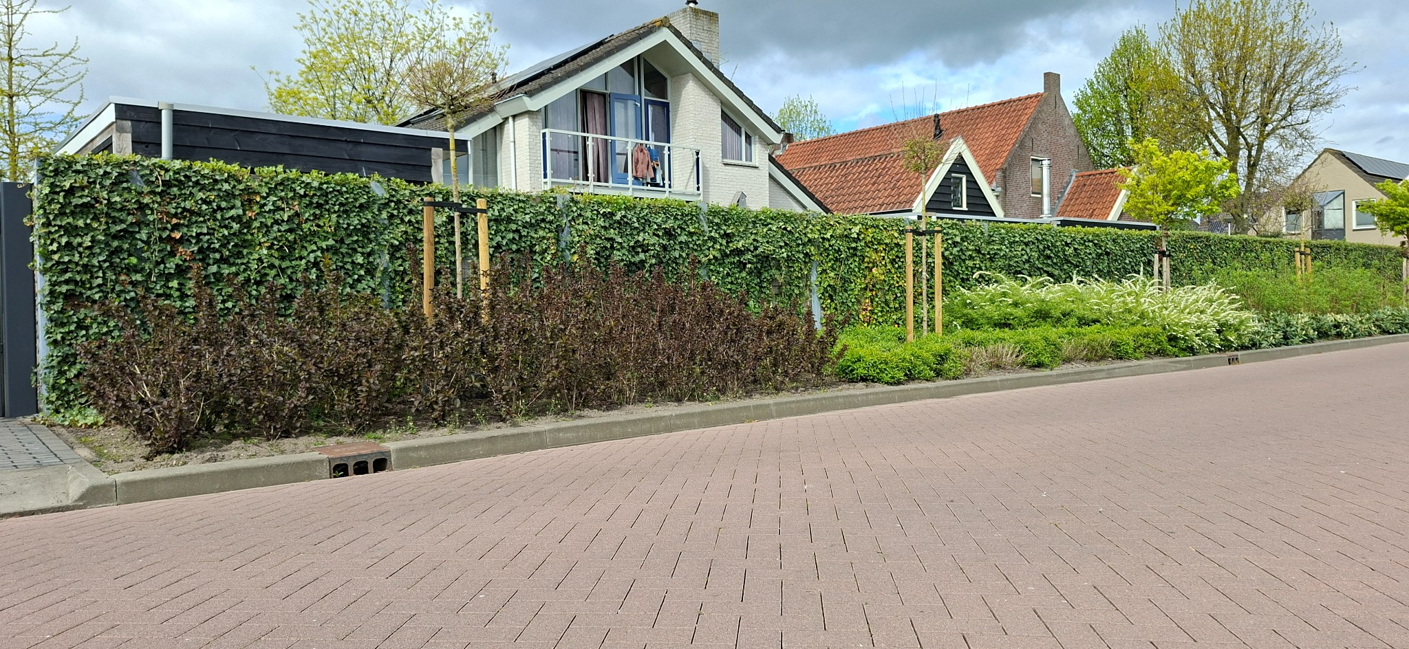 Established planted Greenwall acoustic barrier running along a residential street